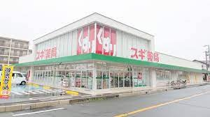 スギ薬局 牟呂店の画像1