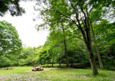 公園 町田市立忠生公園