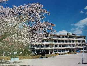 名古屋市立 玉川小学校の画像1