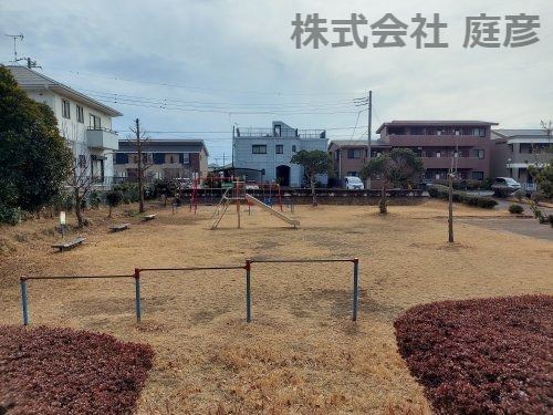 の画像