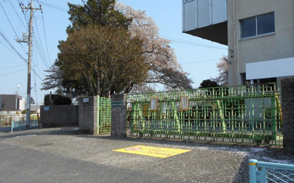 わかば小学校の画像1