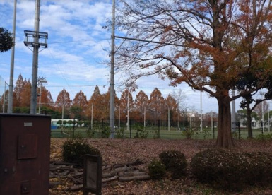 町田中央公園の画像1