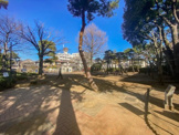 中野区立東山公園
