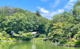 公園 薬師池公園