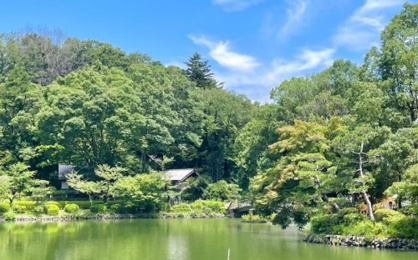 薬師池公園の画像1