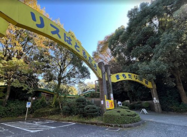 町田リス園の画像1