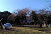 公園 古淵西公園