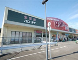 HalloDay(ハローデイ) 柏の森店