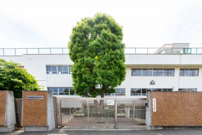 板橋区立中台小学校の画像1