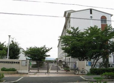 新田南小学校の画像1