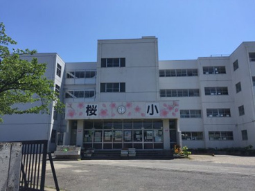 三郷市立桜小学校の画像1
