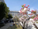 東大阪市立玉串小学校の画像