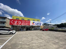 シグマ薬品柏原大県店