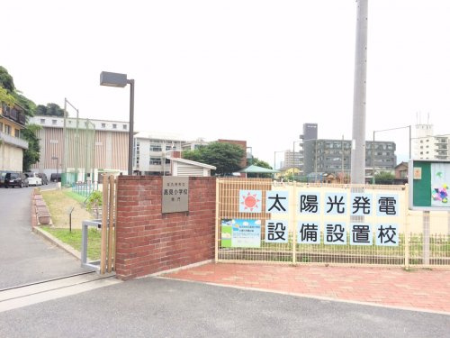 の画像