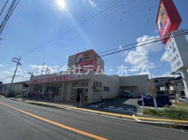 サンドラッグ 柏原大県店