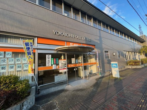 の画像