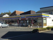 ミニストップ 藤沢大平店