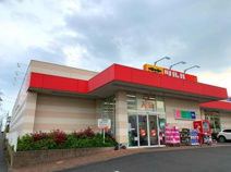 ツルハドラッグ 藤沢菖蒲沢店