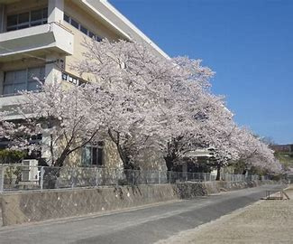 嘉麻市立稲築東中学校の画像1
