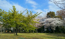 西郷山公園