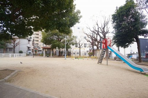 の画像