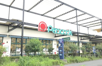 株式会社大丸ピーコック藤沢トレアージュ白旗店の画像1