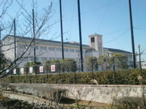 つつじが丘小学校