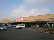 エコスTAIRAYA(たいらや) 真壁店