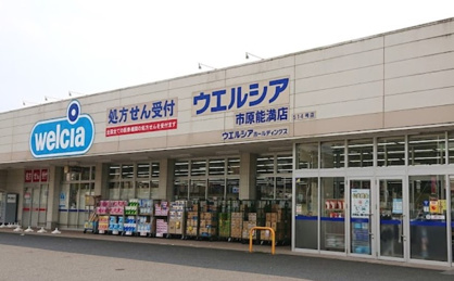 ウエルシア市原能満店の画像1