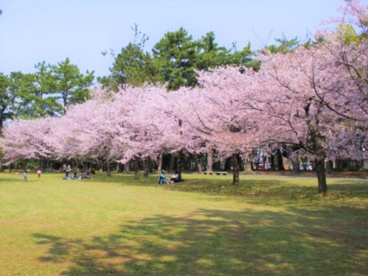 高師緑地公園の画像2