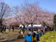 あかぎ公園の画像