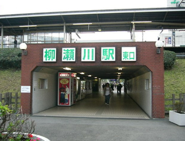 柳瀬川の画像1