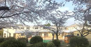 ののかぜ保育園の画像1