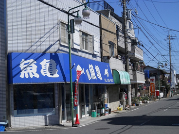 魚亀の画像1