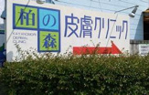 柏の森皮膚クリニック