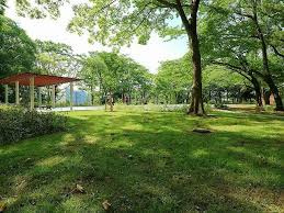 泉中央公園の画像1