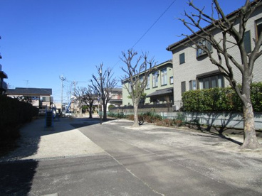 氷川区画公園の画像1