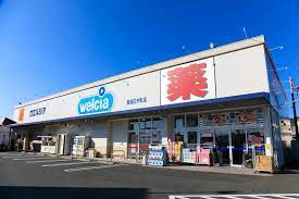 ウエルシア豊橋花中町店の画像1