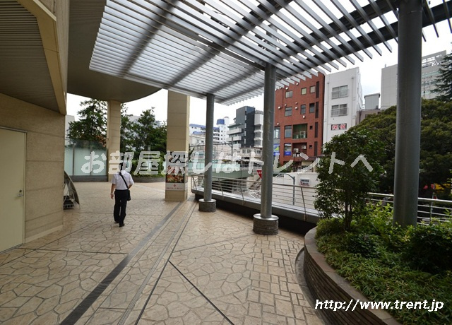 トレント周辺の地域情報 トレント