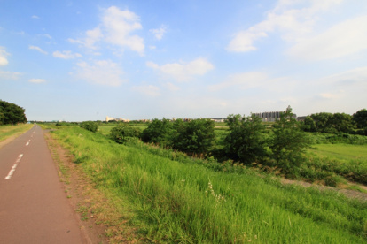 多摩川五本松公園の画像1