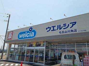 ウエルシア毛呂山川角店の画像1