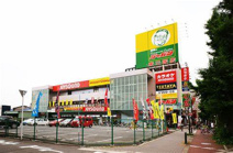 ジャパン