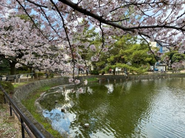 千葉公園の画像2