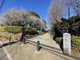 関前公園の画像