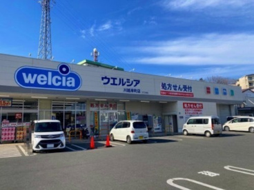 ウエルシア/川越岸町店の画像1