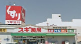 スギ薬局高針店
