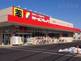 サンドラッグ