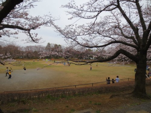 山崎公園