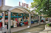 ライフ 桃山台店