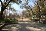 靱公園